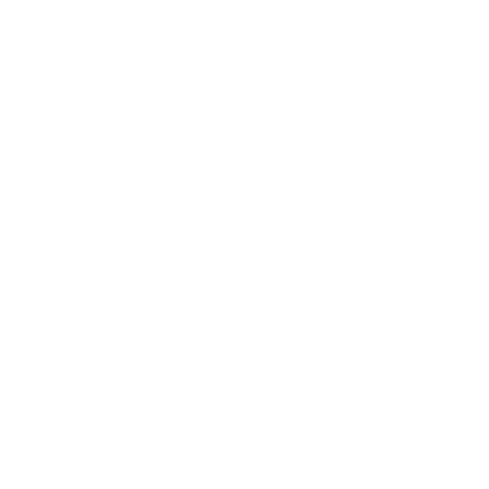 Ceramic Coating