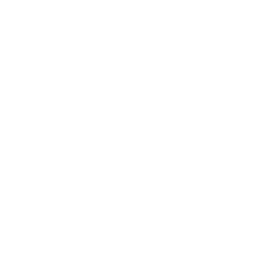 Paint Protection Film